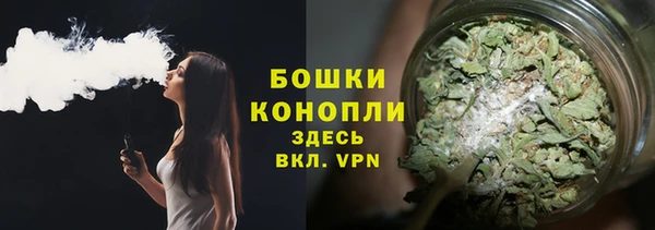 сатива Михайлов