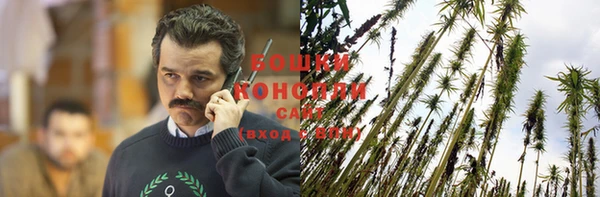 mix Мегион
