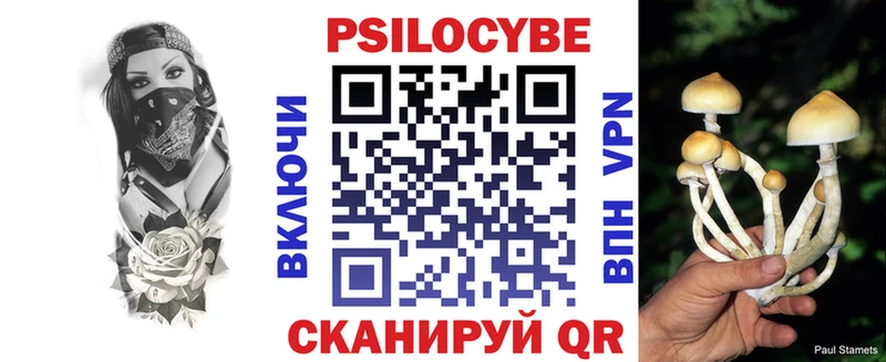 Купить закладки  Советск  Псилоцибиновые грибы Psilocybine cubensis 